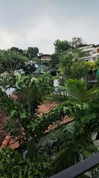 Shamrock Park (D10), Semi-Detached #431335141